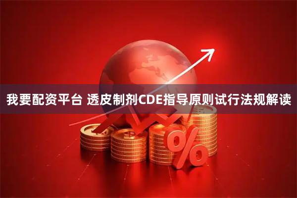 我要配资平台 透皮制剂CDE指导原则试行法规解读