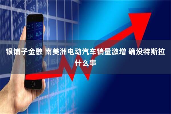 银铺子金融 南美洲电动汽车销量激增 确没特斯拉什么事