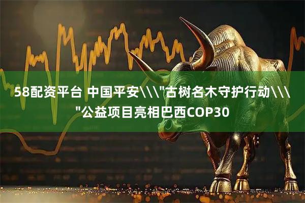 58配资平台 中国平安\＂古树名木守护行动\＂公益项目亮相巴西COP30