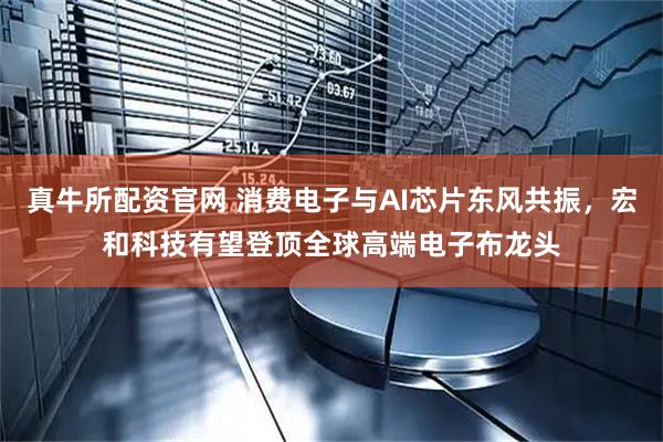 真牛所配资官网 消费电子与AI芯片东风共振，宏和科技有望登顶全球高端电子布龙头
