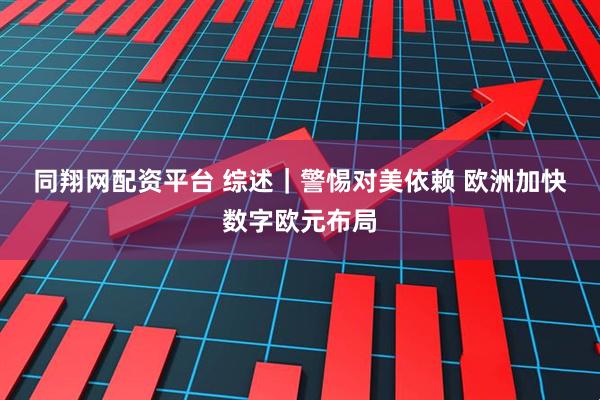 同翔网配资平台 综述｜警惕对美依赖 欧洲加快数字欧元布局